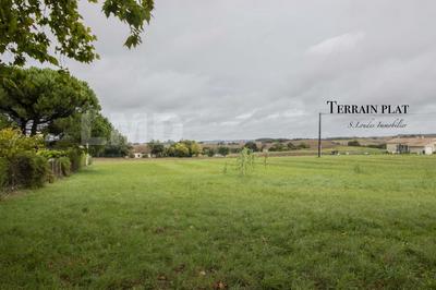 Terrain - 1 238 m²