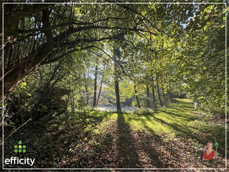 Maison traditionnelle - 334 m² - 14 pièces