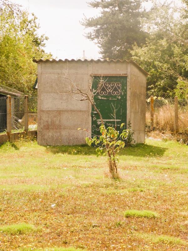 Maison - 56 m² - 2 pièces