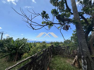 Maison ancienne - 220 m² - 12 pièces