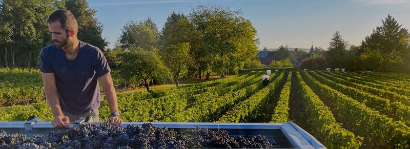 Domaine la Villaudière