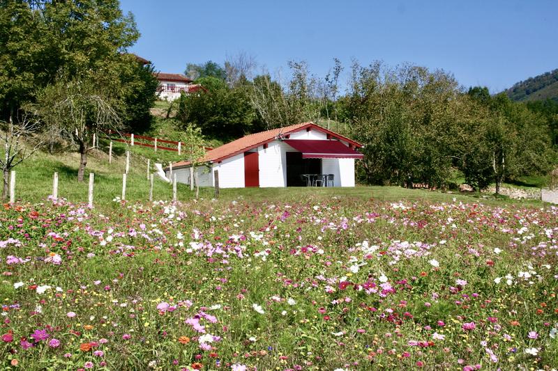 Villa - 377 m² - 11 pièces