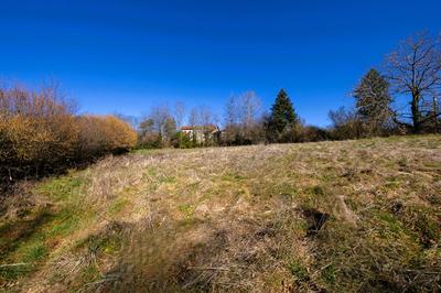 Terrain constructible - 1 254 m²
