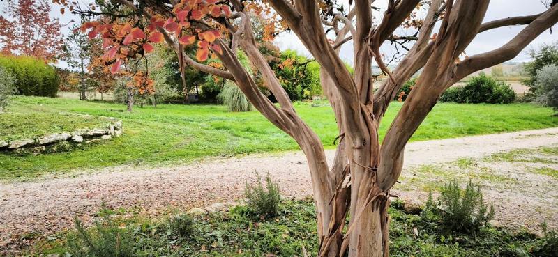 Maison de campagne - 163 m² - 5 pièces