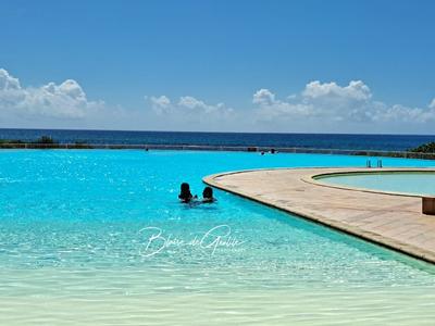 Appartement - 35 m² - 1 pièce