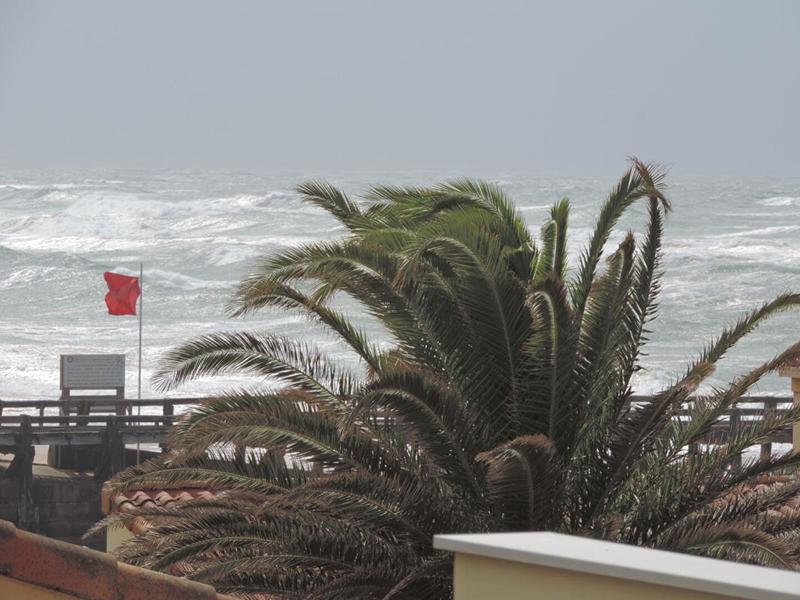 Appartement - 29 m² - 1 pièce