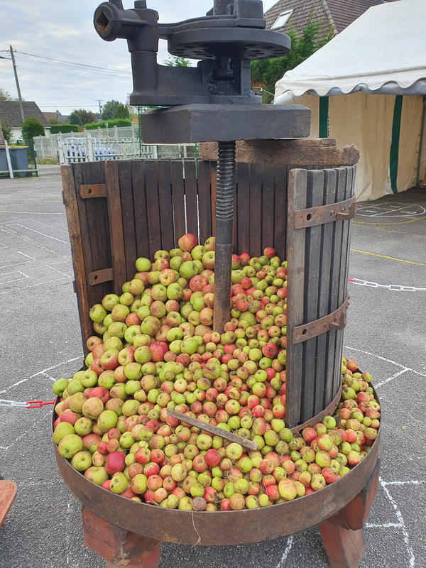 La Pomme du Pougard