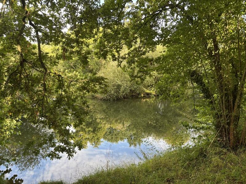 Maison ancienne - 103 m² - 5 pièces