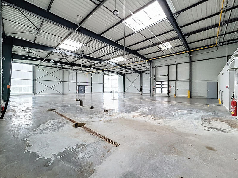Local d'activité / Entrepôt - 800 m²