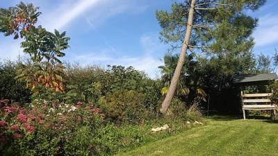 Maison - 96 m² - 3 pièces