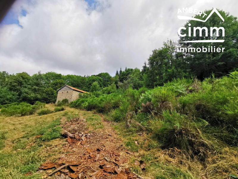 Ferme - 46 m² - 1 pièce