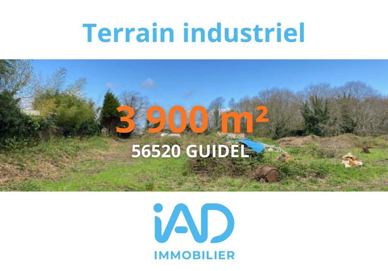 Local commercial - 3 901 m²