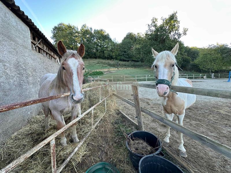 Maison - 300 m² - 10 pièces