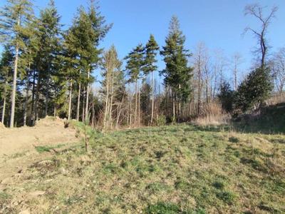 Terrain constructible - 735 m²