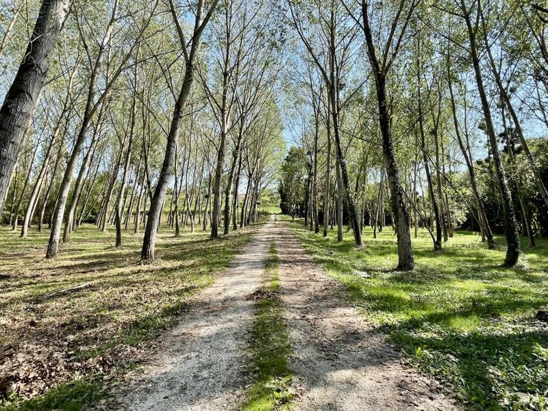 Maison de maîtres - 270 m² - 10 pièces