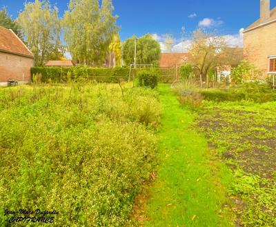 Terrain constructible - 1 000 m²