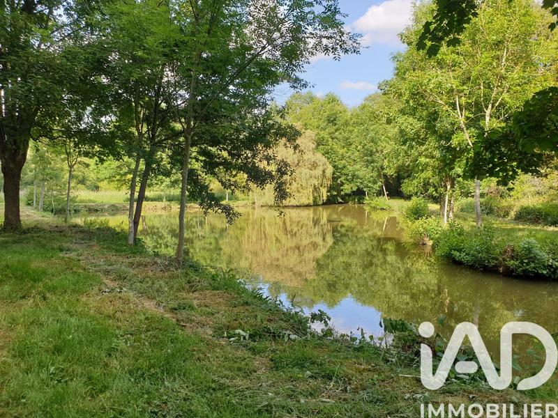 Terrain - 11 797 m²