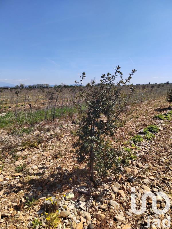 Terrain - 13 690 m²