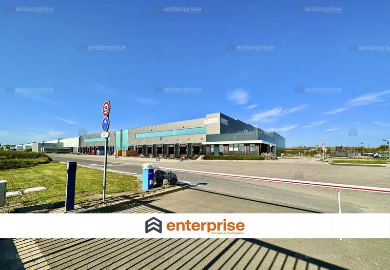 Entrepôt - 43 000 m²