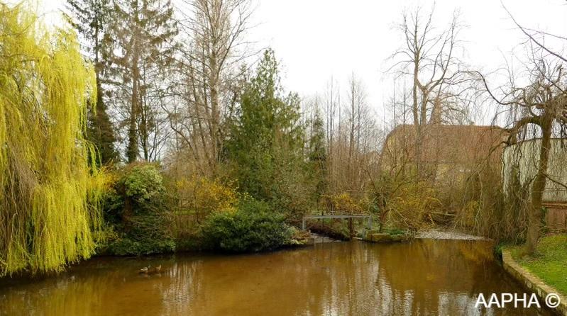 Balade patrimoine et nature à Altorf