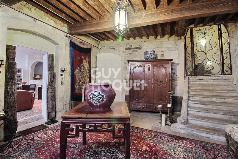 Hôtel particulier - 280 m² - 9 pièces