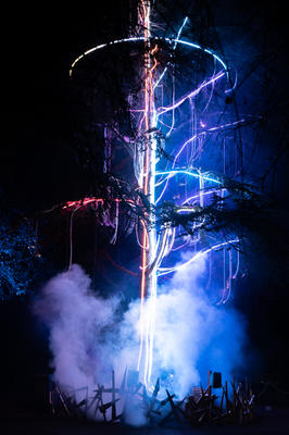 Visions Nocturnes au Parc Animalier