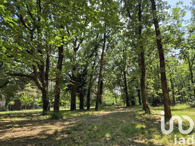 Maison - 295 m² - 7 pièces