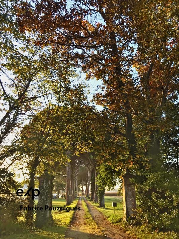 Maison - 533 m² - 20 pièces