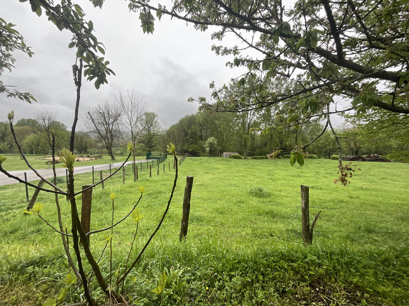 Maison - 143 m² - 6 pièces