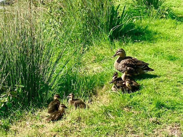 Maison - 78 m² - 3 pièces