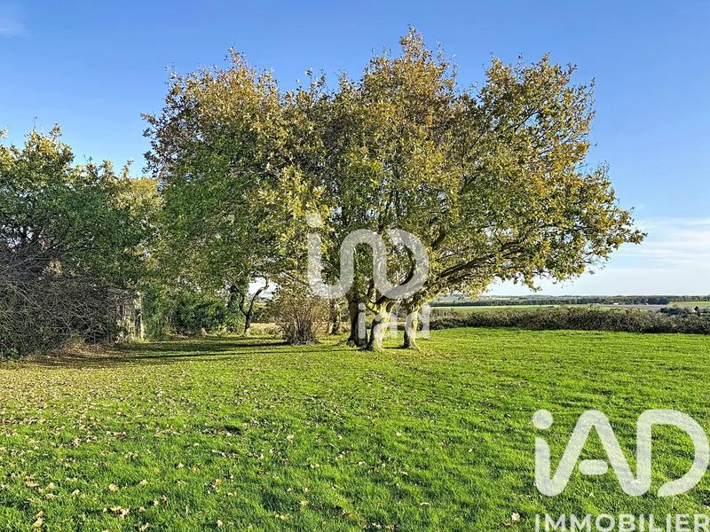 Maison - 80 m² - 5 pièces