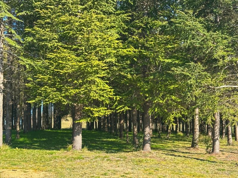 Local d'activité / Entrepôt - 240 m² - 1 pièce