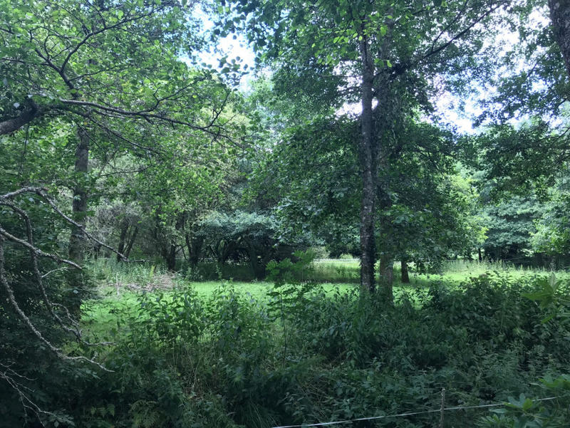 Propriété - 286 m² - 12 pièces