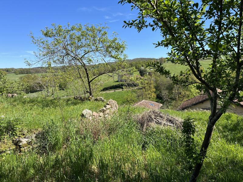 Maison en pierre - 160 m² - 6 pièces