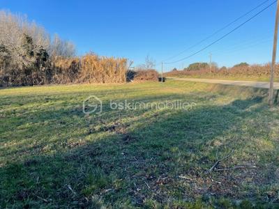 Terrain agricole - 1 546 m²