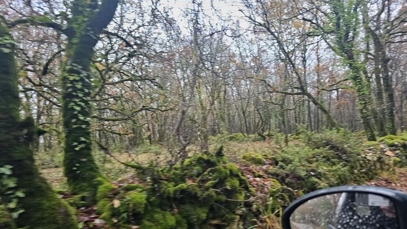 Terrain - 29 858 m²