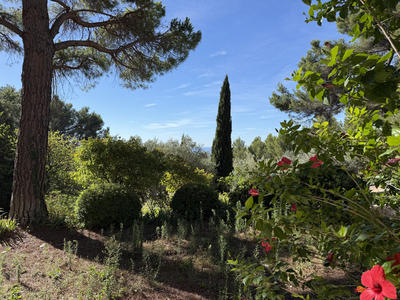 Propriété - 170 m² - 6 pièces