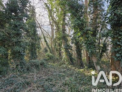 Terrain - 22 854 m²