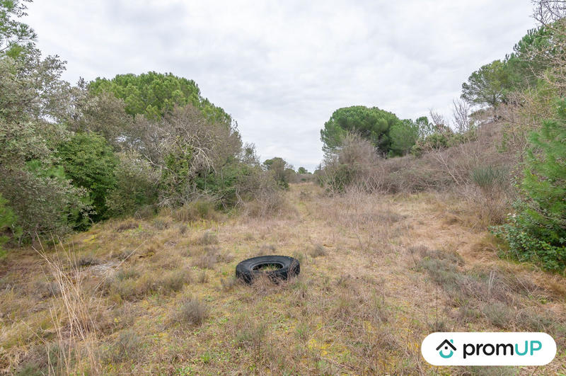 Terrain agricole - 10 601 m²