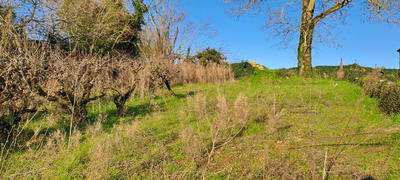 Terrain - 2 415 m²