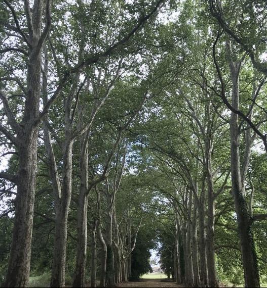 Manoir - 4 200 m² - 72 pièces