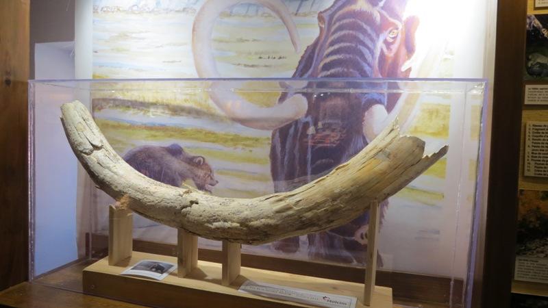 Musée de la géologie