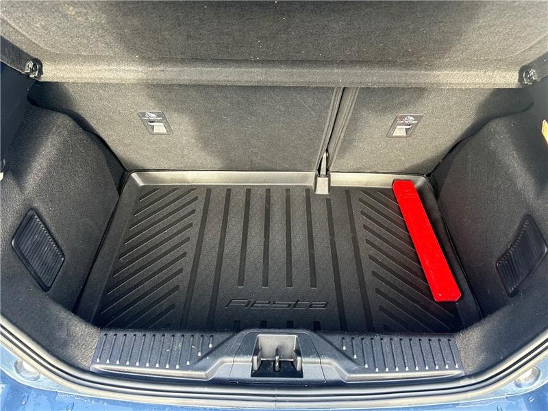 Ford Fiesta VII 1.0 Flexifuel 95 Ch s&amp;S Bvm6 St-Line