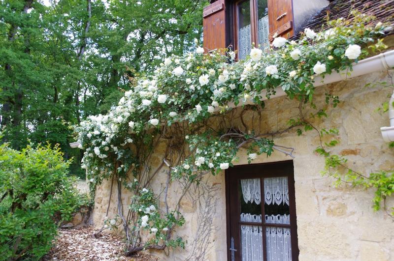 Maison - 90 m² - 3 pièces