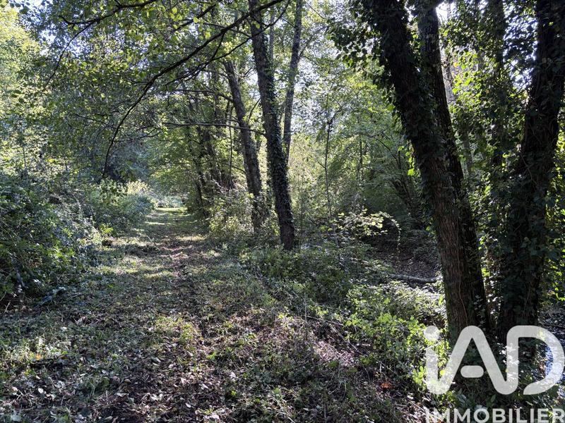 Maison de ville - 384 m² - 15 pièces