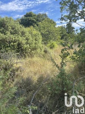 Terrain agricole - 4 400 m²