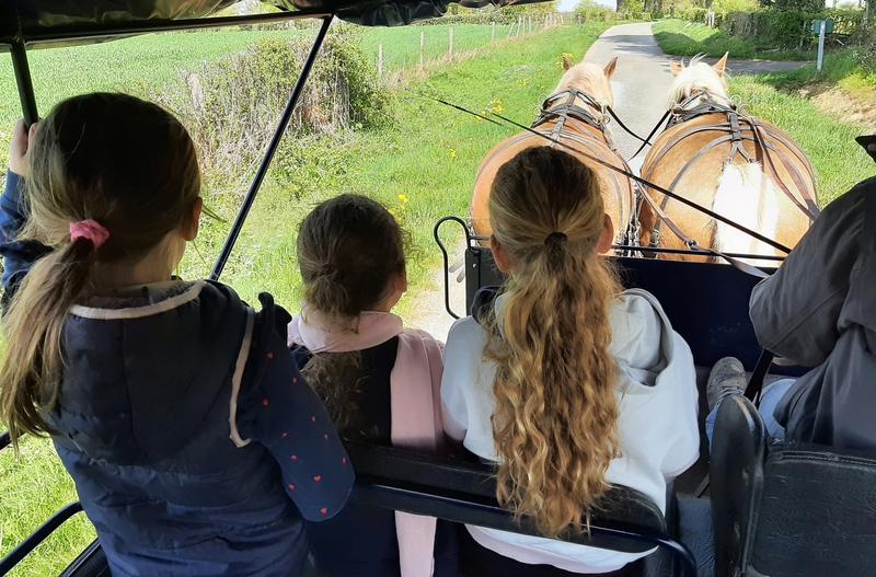 Les attelages du gros bois - vacances en roulotte avec cheval - balade en calèche