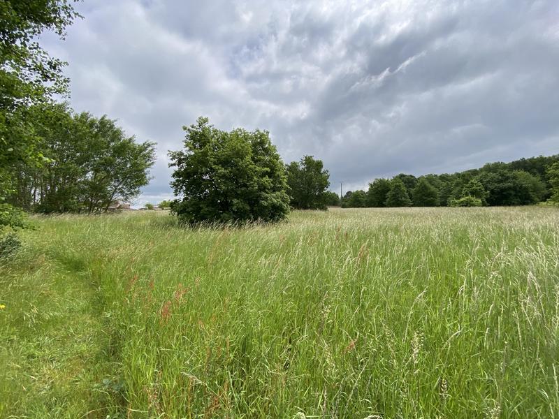 Terrain - 10 076 m²