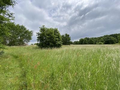 Terrain - 10 076 m²