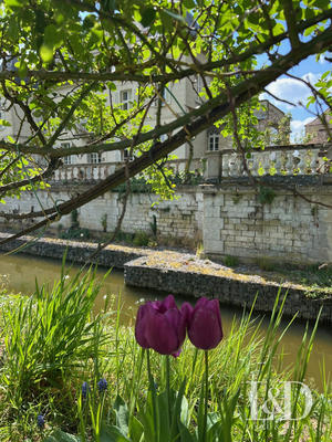 Château - 450 m² - 14 pièces